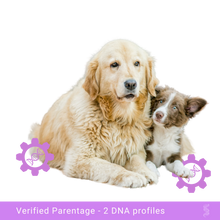Load image into Gallery viewer, Mother dog with her puppy, highlighting the maternal bond pending DNA paternity verification