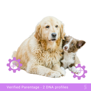 Mother dog with her puppy, highlighting the maternal bond pending DNA paternity verification