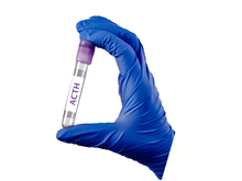 Cargar imagen en el visor de la galería, Adrenocorticotropic hormone - ACTH - Equigerminal