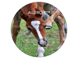 ALLERCEPT® Allergy Test - 24 alérgenos de caballos