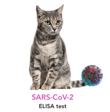 Laden Sie das Bild in den Galerie-Viewer, SARS-CoV-2 antibody testing for Cats - Equigerminal