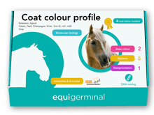 Indlæs billede i gallerifremviser, Coat colour profile - Equigerminal