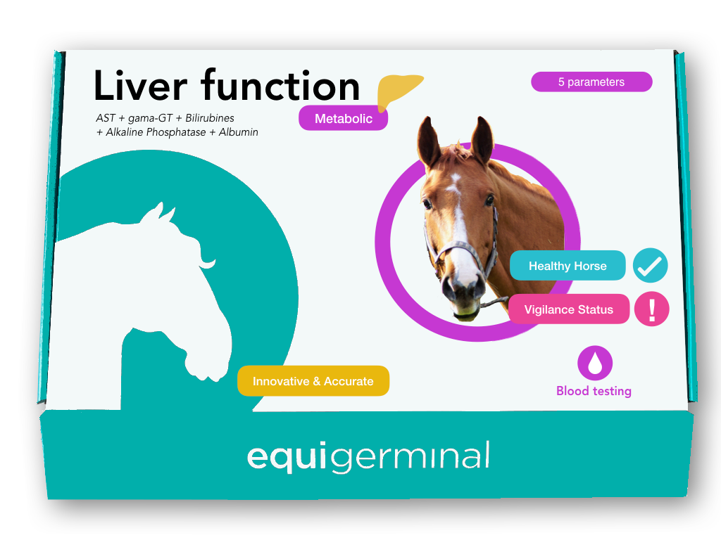 Liver function - Equigerminal