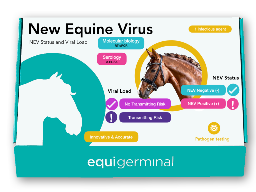 New Equine Virus (NEV) Status & Viral load - Equigerminal