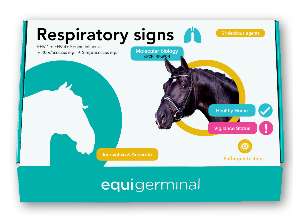 Respiratory signs profile - Equigerminal