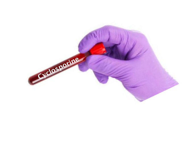 Cyclosporine - Equigerminal