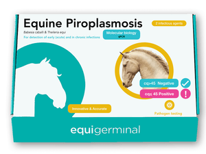 Equine Piroplasmosis, qPCR - Equigerminal