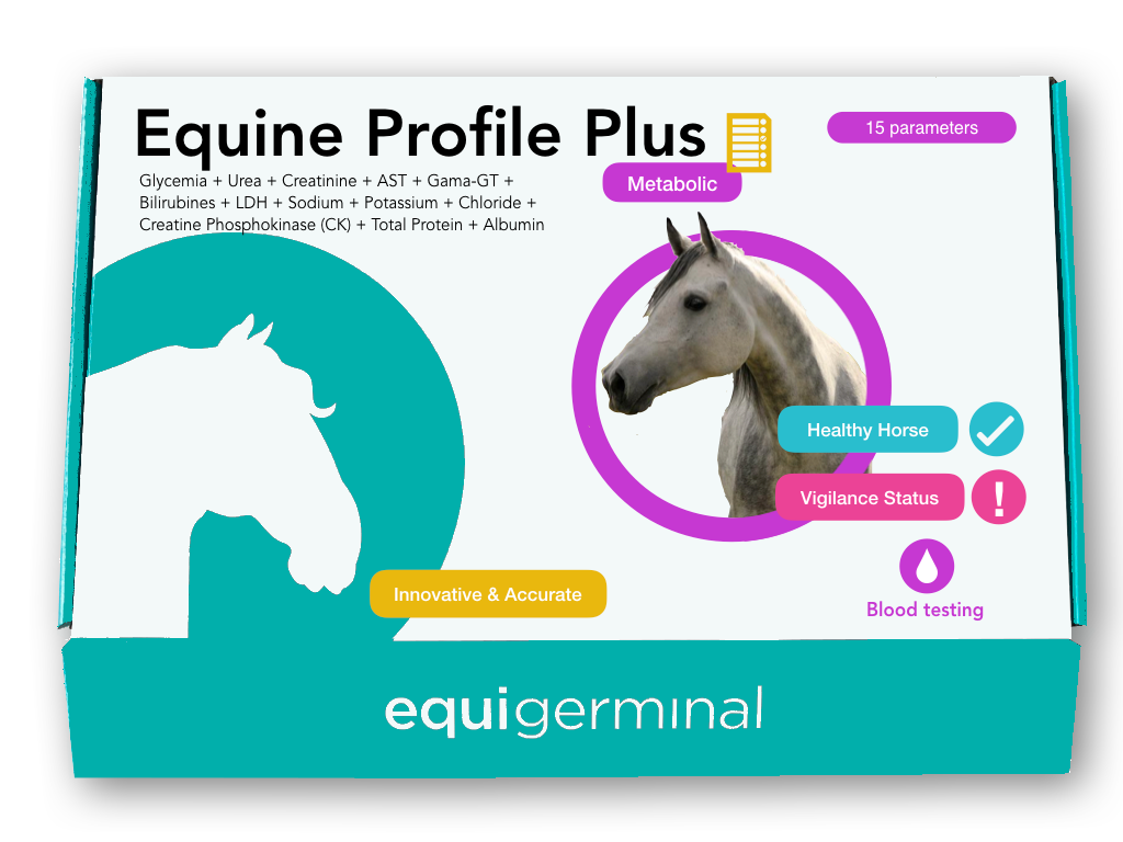 Horse Racing Testing Animal Testing On Horses
