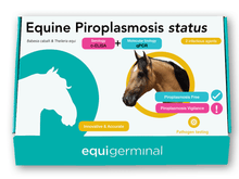 Load image into Gallery viewer, Equine Piroplasmosis status - Equigerminal