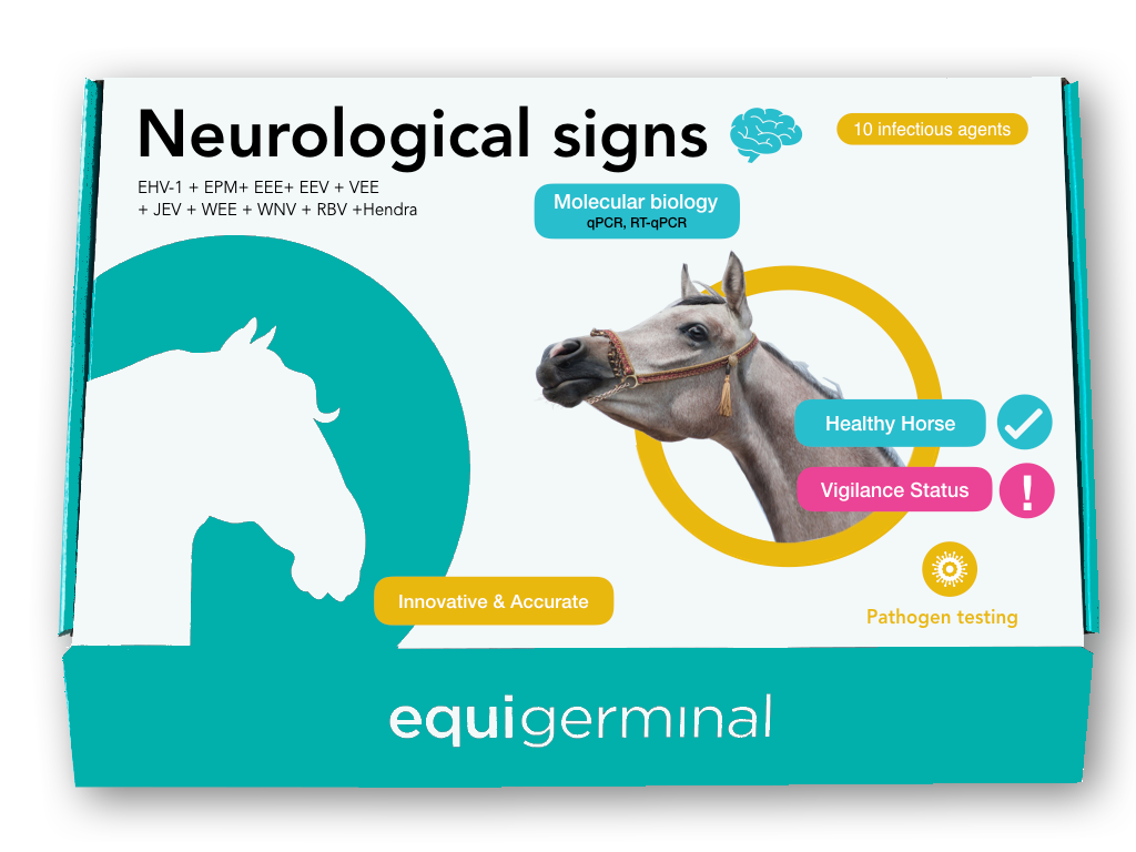 Neurological signs profile - Equigerminal