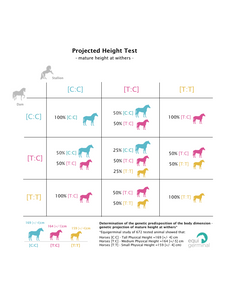 Projected Height test - LCORL/NCAPG - Equigerminal