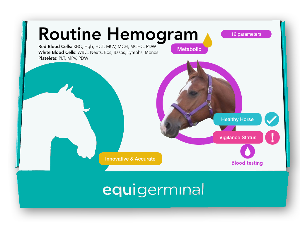 Routine Hemogram & platelets - Equigerminal