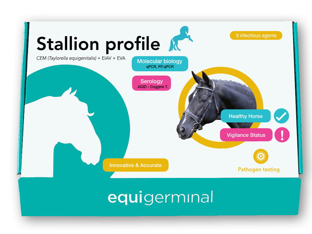 Stallion Profile - Equigerminal
